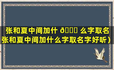 张和夏中间加什 🐛 么字取名（张和夏中间加什么字取名字好听）